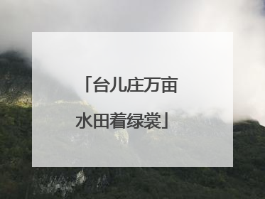 台儿庄万亩水田着绿裳