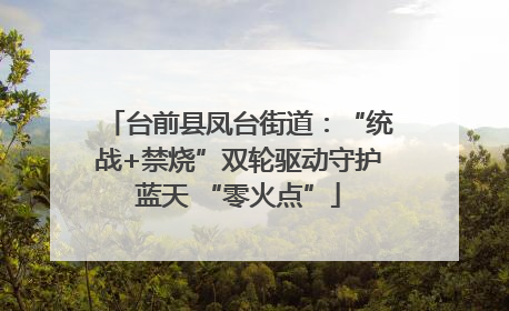 台前县凤台街道：“统战+禁烧”双轮驱动守护蓝天 “零火点”