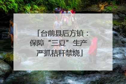台前县后方镇：保障“三夏”生产 严抓秸秆禁烧