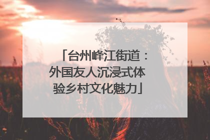 台州峰江街道：外国友人沉浸式体验乡村文化魅力