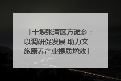 十堰张湾区方滩乡：以调研促发展 助力文旅康养产业提质增效