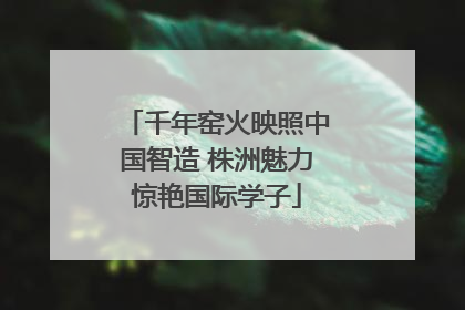 千年窑火映照中国智造 株洲魅力惊艳国际学子