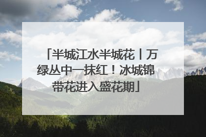 半城江水半城花丨万绿丛中一抹红！冰城锦带花进入盛花期
