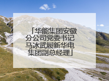 华能集团安徽分公司党委书记马冰武履新华电集团副总经理