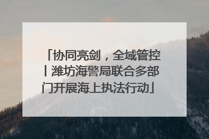 协同亮剑，全域管控丨潍坊海警局联合多部门开展海上执法行动