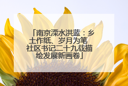 南京溧水洪蓝：乡土作纸、岁月为笔 社区书记二十九载描绘发展新画卷
