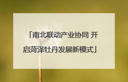 南北联动产业协同 开启菏泽牡丹发展新模式