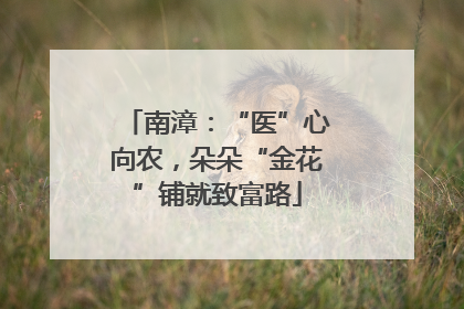 南漳：“医”心向农，朵朵“金花”铺就致富路