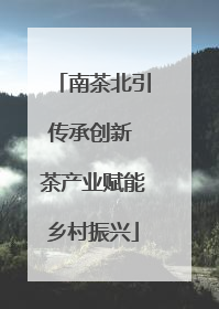 南茶北引传承创新 茶产业赋能乡村振兴