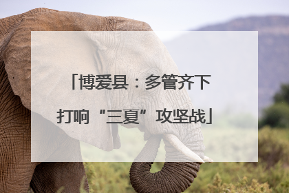 博爱县：多管齐下 打响“三夏”攻坚战