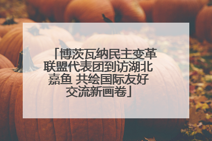 博茨瓦纳民主变革联盟代表团到访湖北嘉鱼 共绘国际友好交流新画卷