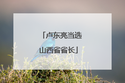 卢东亮当选山西省省长