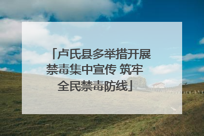 卢氏县多举措开展禁毒集中宣传 筑牢全民禁毒防线