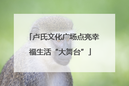 卢氏文化广场点亮幸福生活“大舞台”