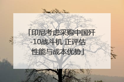 印尼考虑采购中国歼-10战斗机 正评估性能与成本优势