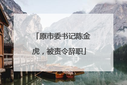 原市委书记陈金虎，被责令辞职