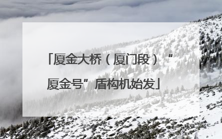 厦金大桥（厦门段）“厦金号”盾构机始发