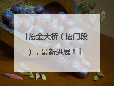 厦金大桥（厦门段），最新进展！