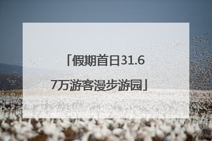 假期首日31.67万游客漫步游园