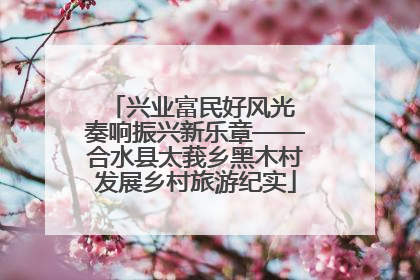 兴业富民好风光 奏响振兴新乐章——合水县太莪乡黑木村发展乡村旅游纪实