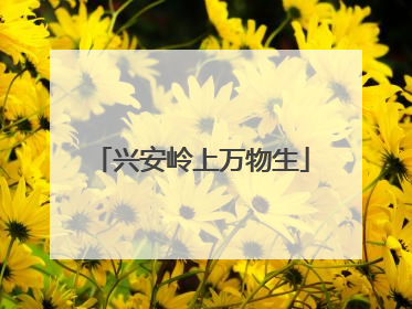 兴安岭上万物生