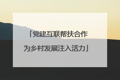 党建互联帮扶合作 为乡村发展注入活力