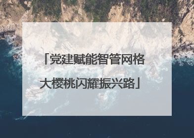 党建赋能智管网格 大樱桃闪耀振兴路