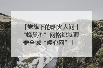党旗下的烟火人间丨“蜂巢型”网格织就覆盖全城“暖心网”