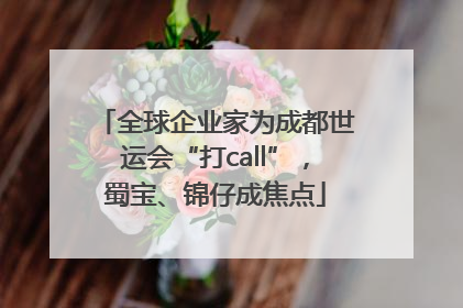 全球企业家为成都世运会“打call”，蜀宝、锦仔成焦点