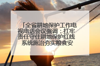 全省耕地保护工作电视电话会议强调：扛牢责任守住耕地保护红线 系统施治夯实粮食安全根基 王宁作出批示 王予波出席并讲话