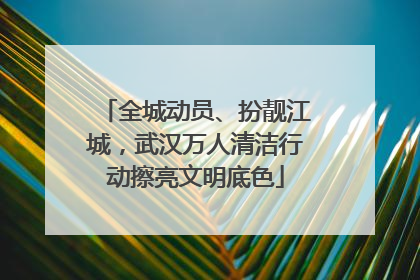 全城动员、扮靓江城，武汉万人清洁行动擦亮文明底色