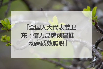 全国人大代表姜卫东：借力品牌创建推动高质效履职