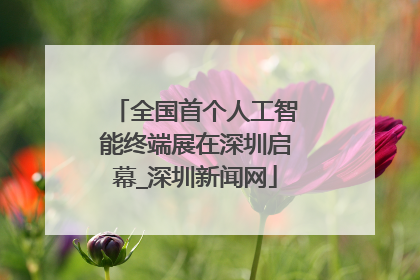 全国首个人工智能终端展在深圳启幕_深圳新闻网