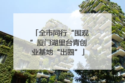 全市同行“围观”厦门湖里台青创业基地“出圈”