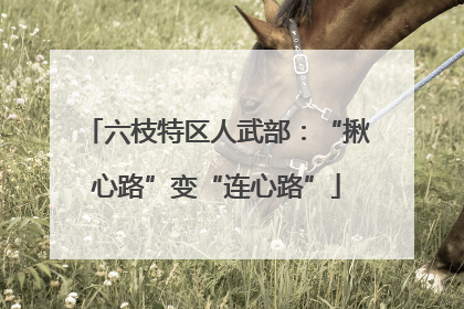 六枝特区人武部：“揪心路”变“连心路”