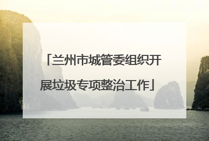 兰州市城管委组织开展垃圾专项整治工作