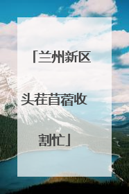 兰州新区头茬苜蓿收割忙