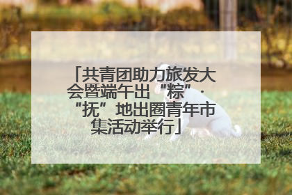共青团助力旅发大会暨端午出“粽”·“抚”地出圈青年市集活动举行