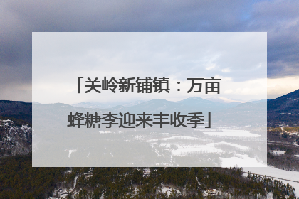 关岭新铺镇：万亩蜂糖李迎来丰收季