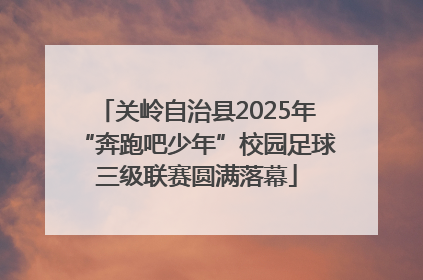 关岭自治县2025年“奔跑吧少年”校园足球三级联赛圆满落幕
