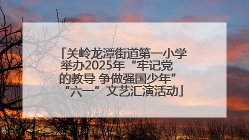 关岭龙潭街道第一小学举办2025年“牢记党的教导 争做强国少年”“六一”文艺汇演活动