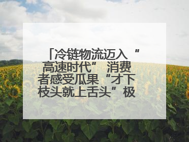 冷链物流迈入“高速时代” 消费者感受瓜果“才下枝头就上舌头”极致体验