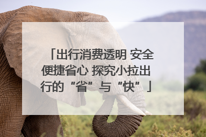 出行消费透明 安全便捷省心 探究小拉出行的“省”与“快”