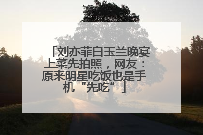 刘亦菲白玉兰晚宴上菜先拍照，网友：原来明星吃饭也是手机“先吃”