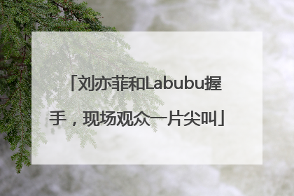 刘亦菲和Labubu握手，现场观众一片尖叫