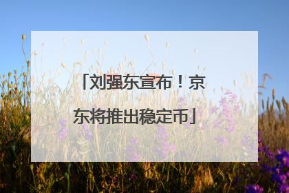 刘强东宣布！京东将推出稳定币
