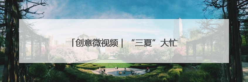 创意微视频｜“三夏”大忙正当时 麦浪滚滚穗飘香