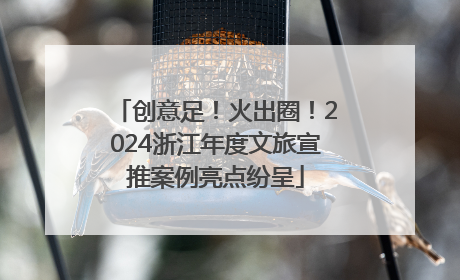 创意足！火出圈！2024浙江年度文旅宣推案例亮点纷呈