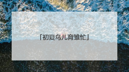 初夏鸟儿育雏忙