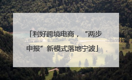 利好跨境电商，“两步申报”新模式落地宁波